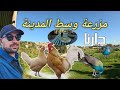 مزرعة دارنا البيداغوجية اجمل الحدائق في طنجة يلاه نكتشفوها ثمن الدخول ثمن الفطور