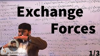 L45.1 Exchange forces