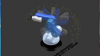 Robot Simulation