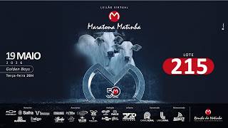 LOTE 215