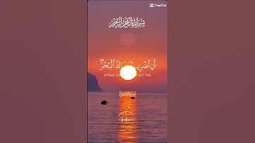 القرآن الكريم #life #اكسبلور #duet #quotes #راحة_نفسية #quran #cute #duetd #دويتو #design