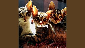 Pulsating Moods for Ethereal Momentum