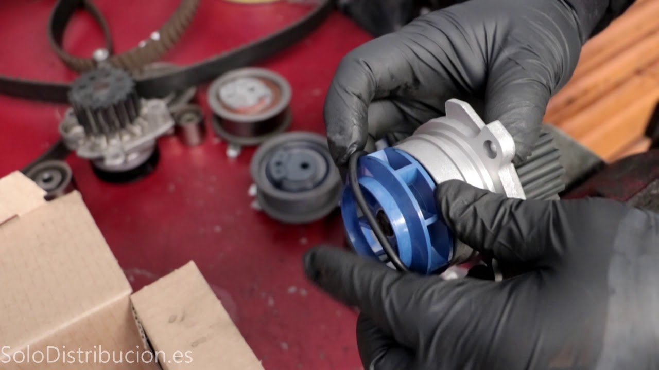 Seat Leon cambia correa en SoloDistribucion.es - YouTube