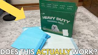 Absorbent Pet Mat Review | More Uses Than You Think | IMMCUTE Extra Large Wee Wee Pads