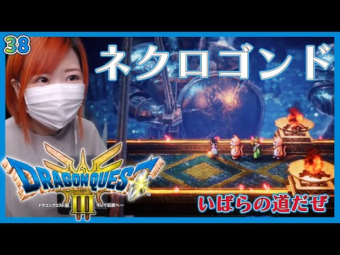 ドラクエ3 ふるいちオンライン - ゲーム/Nintendo Switch/ドラゴンクエスト