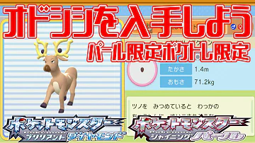 ポケモンダイパリメイク オドシシを入手しよう パール限定ポケトレ限定 7番道路 ポケットモンスター ブリリアントダイヤモンド シャイニングパール Pocket Monsters Mp3 ポケモンダイパリメイク オドシシを入手しよう パール限定ポケトレ限定 7番道路 ポケットモンスター ブリリアントダイヤモンド シャイニングパール Pocket Monsters Mp3