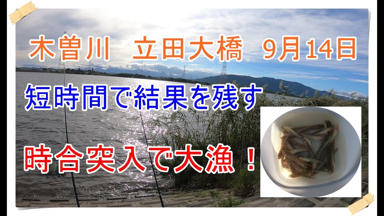 木曽川 立田大橋 短時間釣行で時合突入 ハゼ大漁 Youtube 木曽川 立田大橋 短時間釣行で時合突入 ハゼ大漁 Youtube