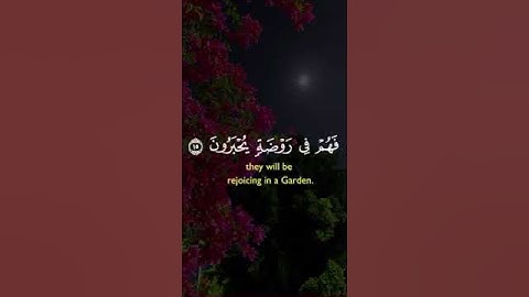 سورة الروم (وَيَوْمَ تَقُومُ السَّاعَةُ يَوْمَئِذٍ يَتَفَرَّقُونَ)