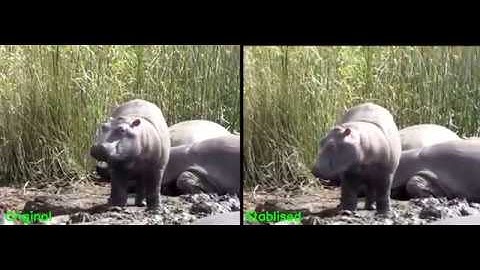 (AEAM) Video Stabilization Using Point Feature Matching in OpenCV