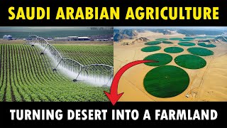 How Saudi Arabia Transformed Desert into Agricultural Farmland | Agriculture in Saudi Arabia