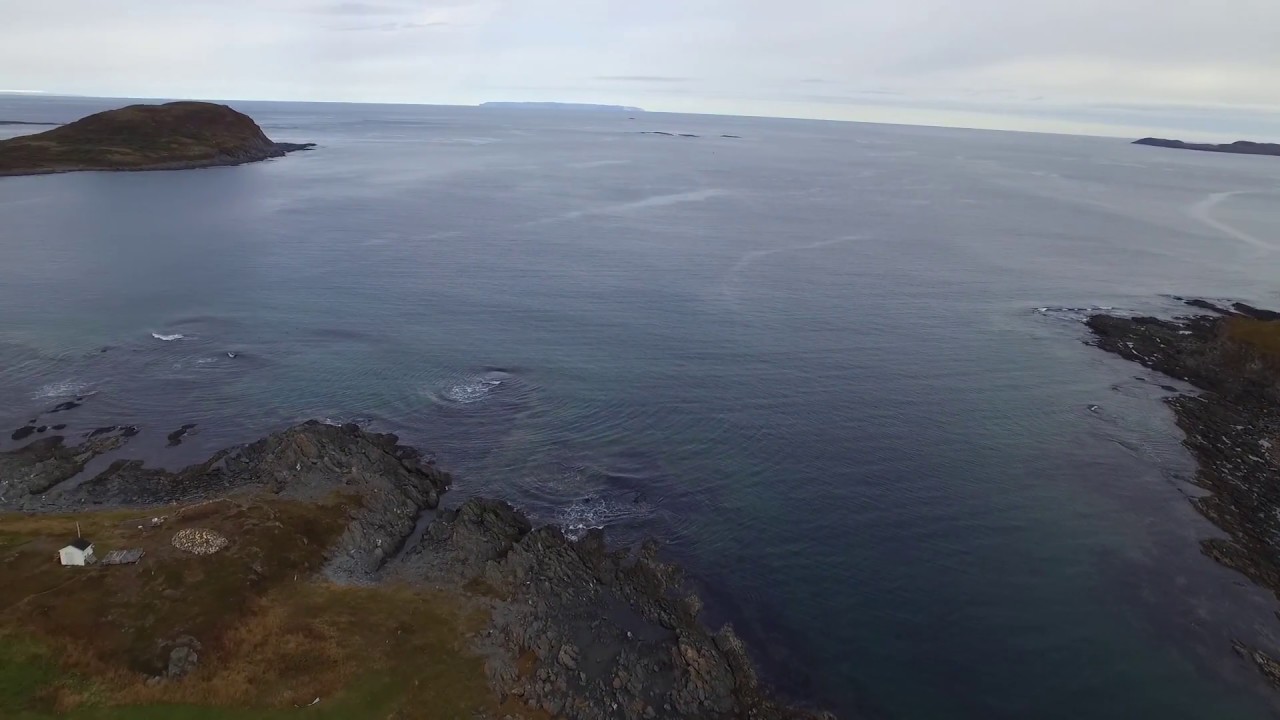 Hay Cove OCT 2017 YouTube