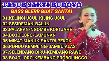 TAYUB BOJONEGORO FULL ALBUM 2025