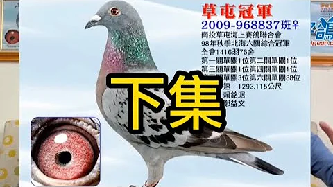 賴銘鋸訪談下集：鴿櫥 - 天天要聞