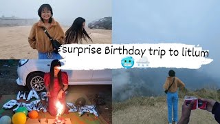 The Ultimate Birthday Vlog: A Surprising Twist