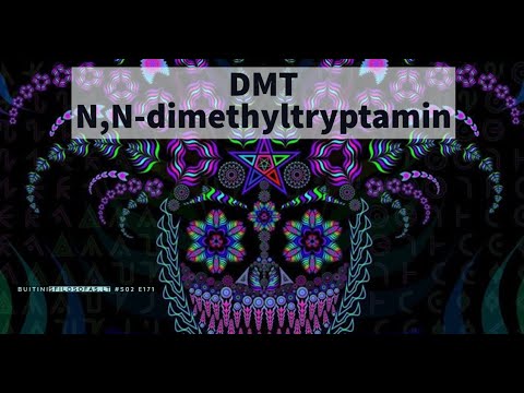 DMT (N, N-dimethyltryptamine) informacija Lietuviškai (audio)