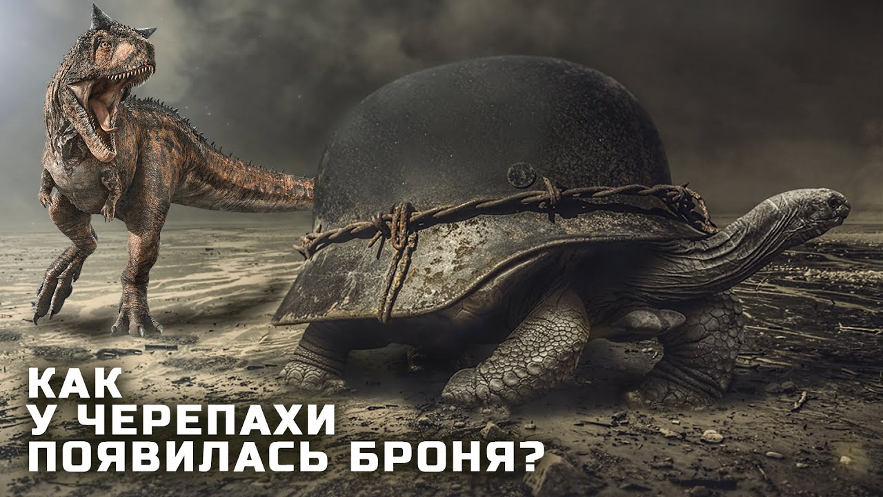 Полная Эволюция Черепах и Как их Предки Получили Броню?
