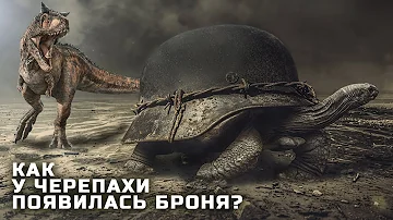 Полная Эволюция Черепах и Как их Предки Получили Броню?