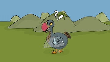 Dodo Does Math Trailer - CodeMonkey