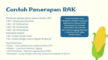 MUDAHH!!! Tutorial Rancangan Acak Kelompok (RAK) menggunakan Aplikasi RStudio