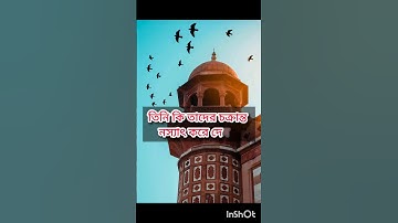 سورة الفيل ✅সুরা ফিল বাংলা অর্থ সহ। Sura fil with Bangla meaning.