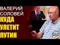 Валерий Соловей - Навальный за решеткой, в Кремле готовы к транзиту