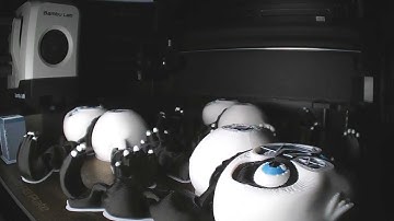 3D Print Timelapse - Bambu Lab P1S - Flexi Factory Panda in 10 seconds