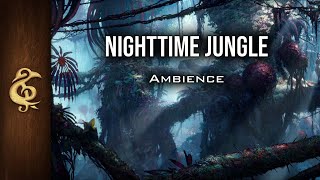 Jungle At Night | Nature ASMR Ambience | 1 Hour