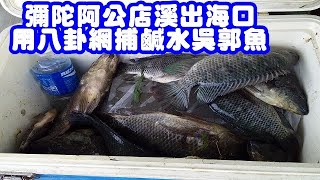 和朱老師去彌陀阿公店溪出海口用八卦網捕鹹水吳郭魚你覺得 ... 