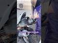 ディオゴスティーニ カスタム フェンダーレス化してみた