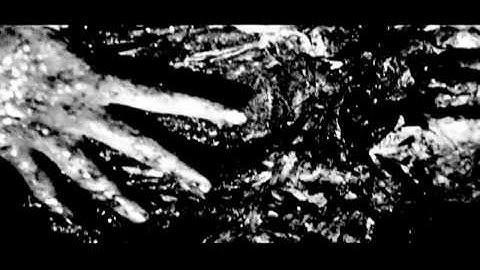 Exoskeleton (Music Video) - Dir. Sandra Powers