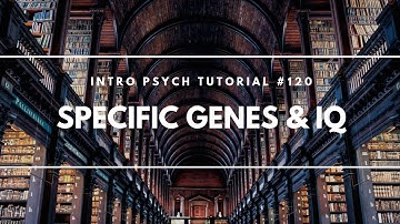 Specific Genes and IQ (Intro Psych Tutorial #120)