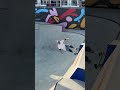 Ostia World Skate Men's Park Quarterfinal Highlights!