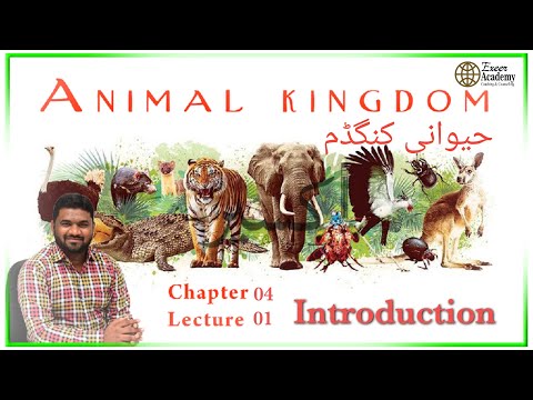 Basis of Classification | LS-01 | Kingdom Animalia | کنگڈم انیملیا | NEET | NCERT | 11th Class |Urdu