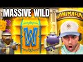 Massive wild hits paid crazy on the new animafia nearly max level bonus buys