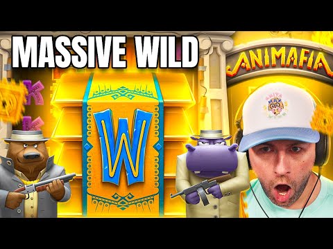 MASSIVE WILD HITS paid CRAZY on the *NEW* ANIMAFIA!! NEARLY MAX LEVEL!! (Bonus Buys)