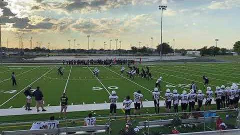 Punt, downed at the 1 yard line