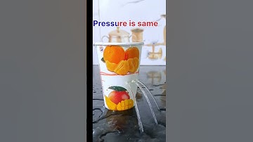 Hydrostatic paradox #physics #science #experiment #experiments #scienceexperiment #shorts #short