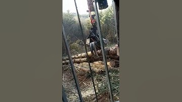 Logging: Link Belt: Ryan