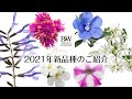 PW2021年 新品種のご紹介 花苗編　〜お花は年々進化します〜