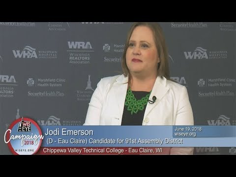 Campaign 2018: Jodi Emerson (D) Candidate for 91st Assembly District