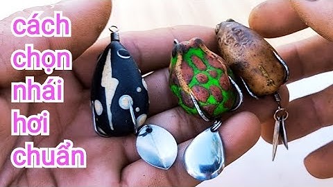 Kinh nghiệm chọn nhái hơi câu cá lóc chuẩn cho người mới/Hữunghị tv