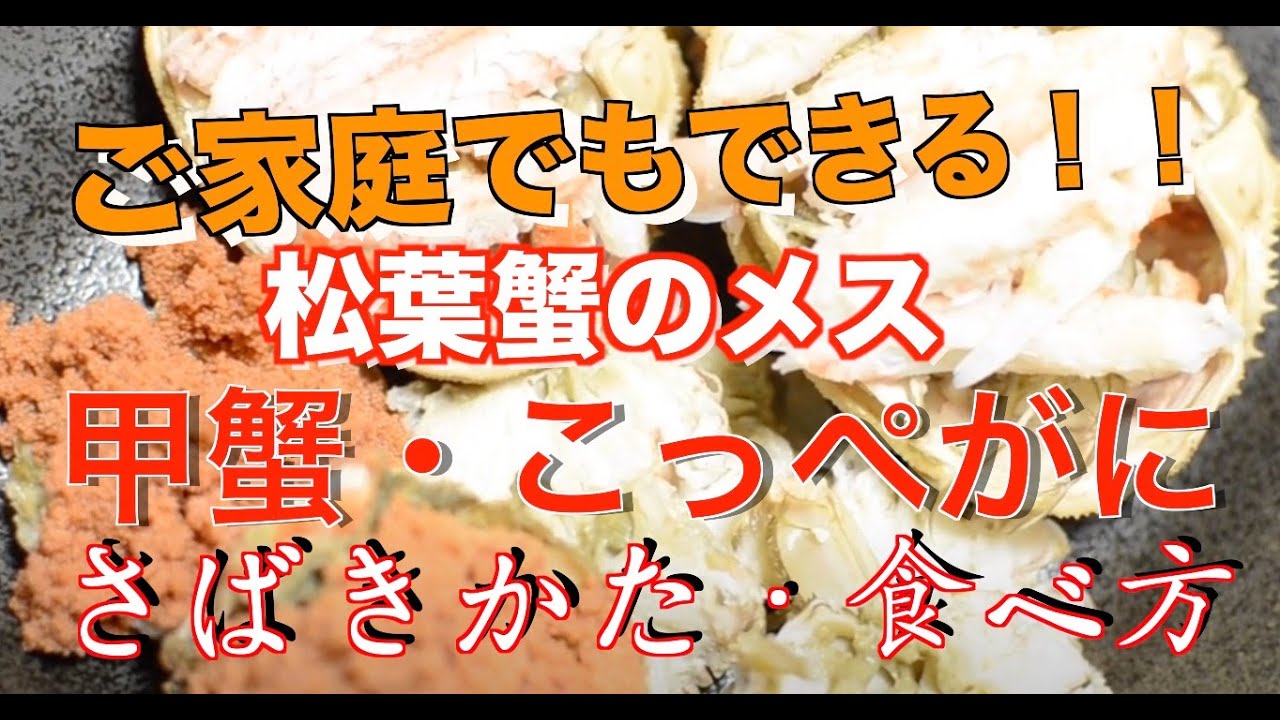 セコ蟹 コッペ蟹 甲蟹の食べ方 さばき方 食べやすいさばき方 Youtube