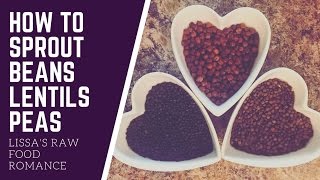 How to sprout beans || lentils and peas vegan raw food