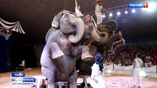 Индийские слоны работают на Кубани