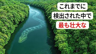 これらの発見の後、世界は決して同じにはならないでしょう。