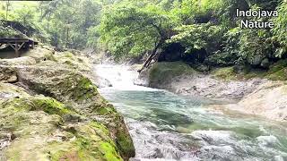 The Mountain River Flowing Sound,Blue Water, Forest River, Birds Chirping for Sleeping