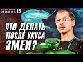 Встреча со змеей: 10 вредных советов. Ученые против мифов 15-8. Евгений Рыбалтовский