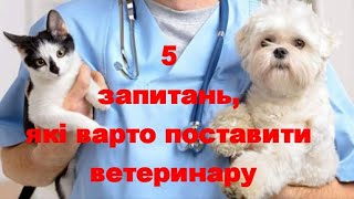 5 Запитань, Які Варто Поставити Ветеринару  5 Questions To Ask Your Vet