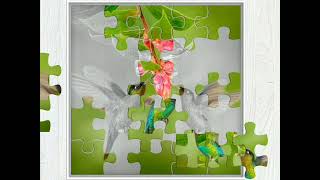 Sparrow puzzle games for kids Enjoy puzzle gaming 12 March 2022 screenshot 2
