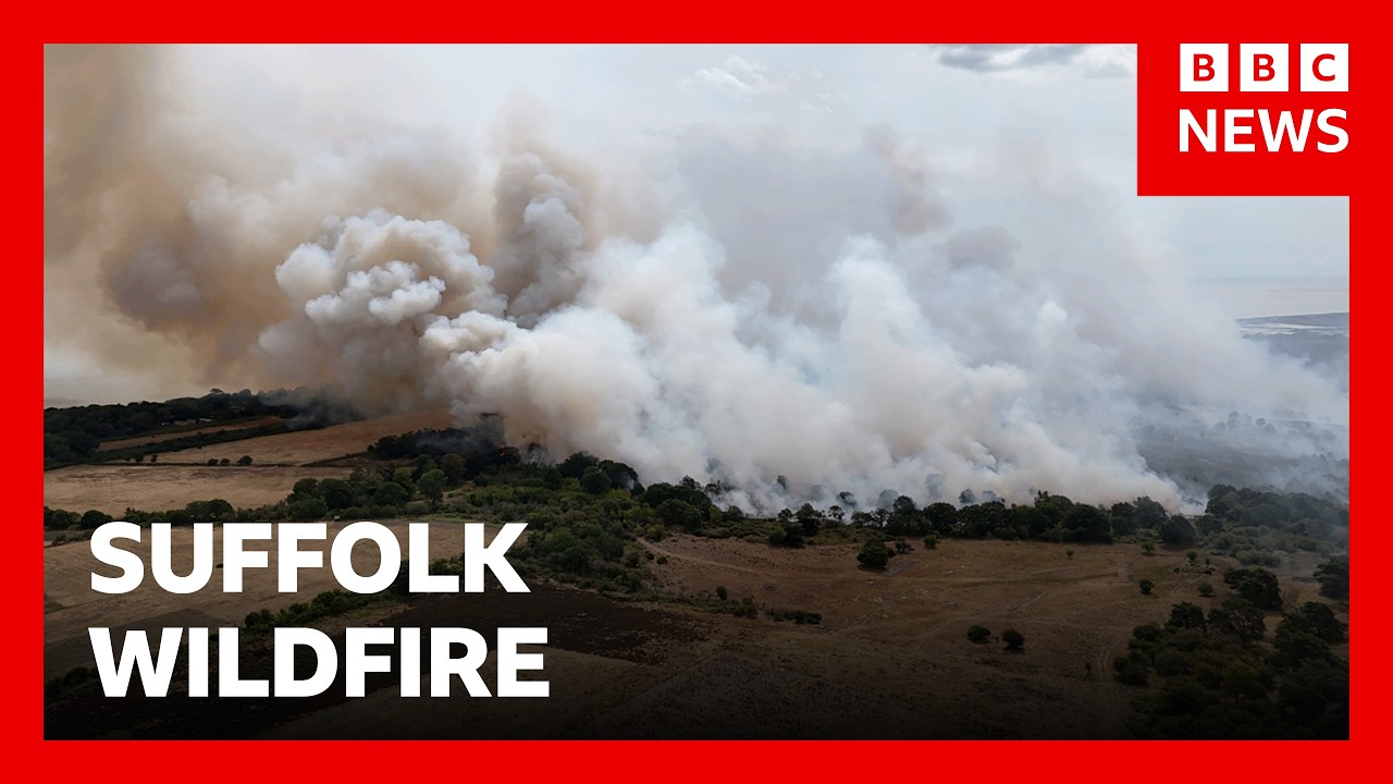 Wildfire in Suffolk, UK, not yet under control, fire service says | BBC News Wildfire in Suffolk, UK, not yet under control, fire service says | BBC News